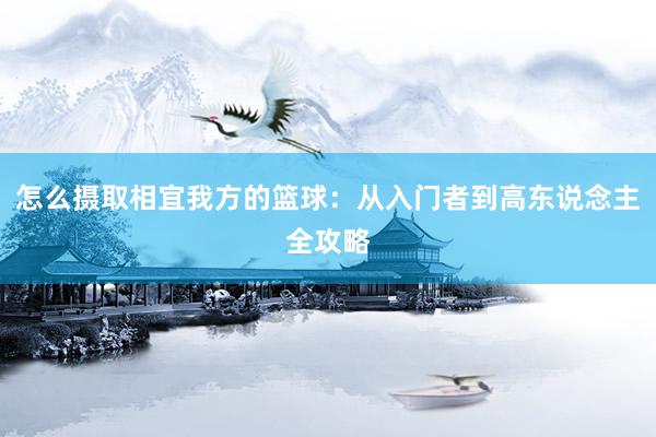 怎么摄取相宜我方的篮球：从入门者到高东说念主全攻略